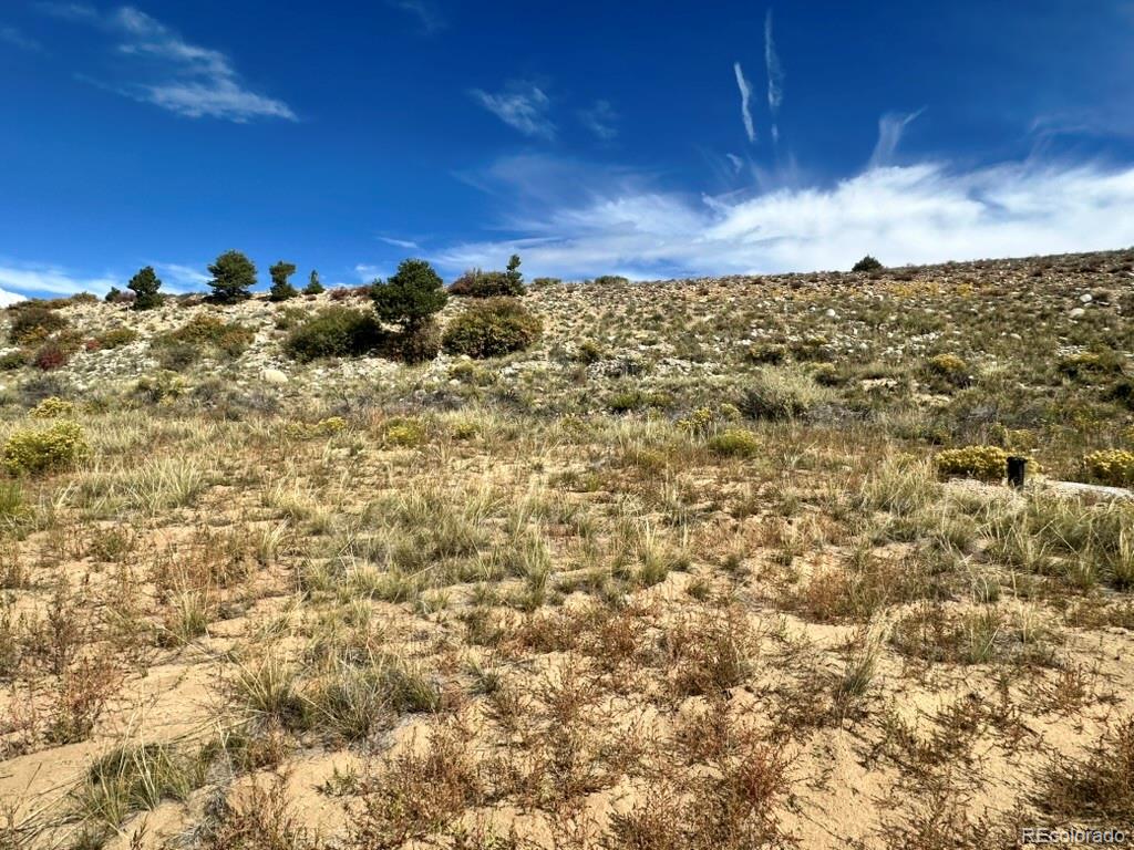 24266 River Rock Lane Buena Vista CO 81211