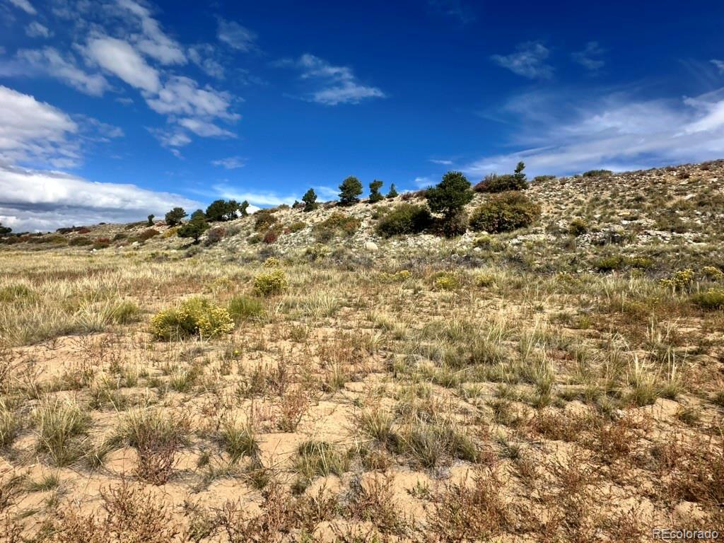 24266 River Rock Lane Buena Vista CO 81211