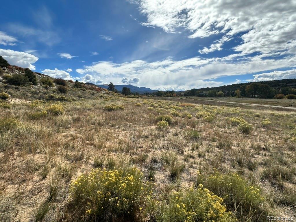 24266 River Rock Lane Buena Vista CO 81211