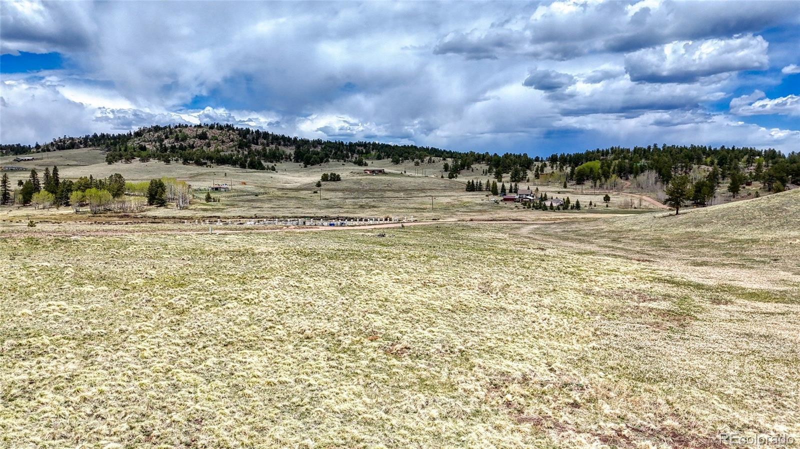 Lot 007 County Road 403 Florissant CO 80816