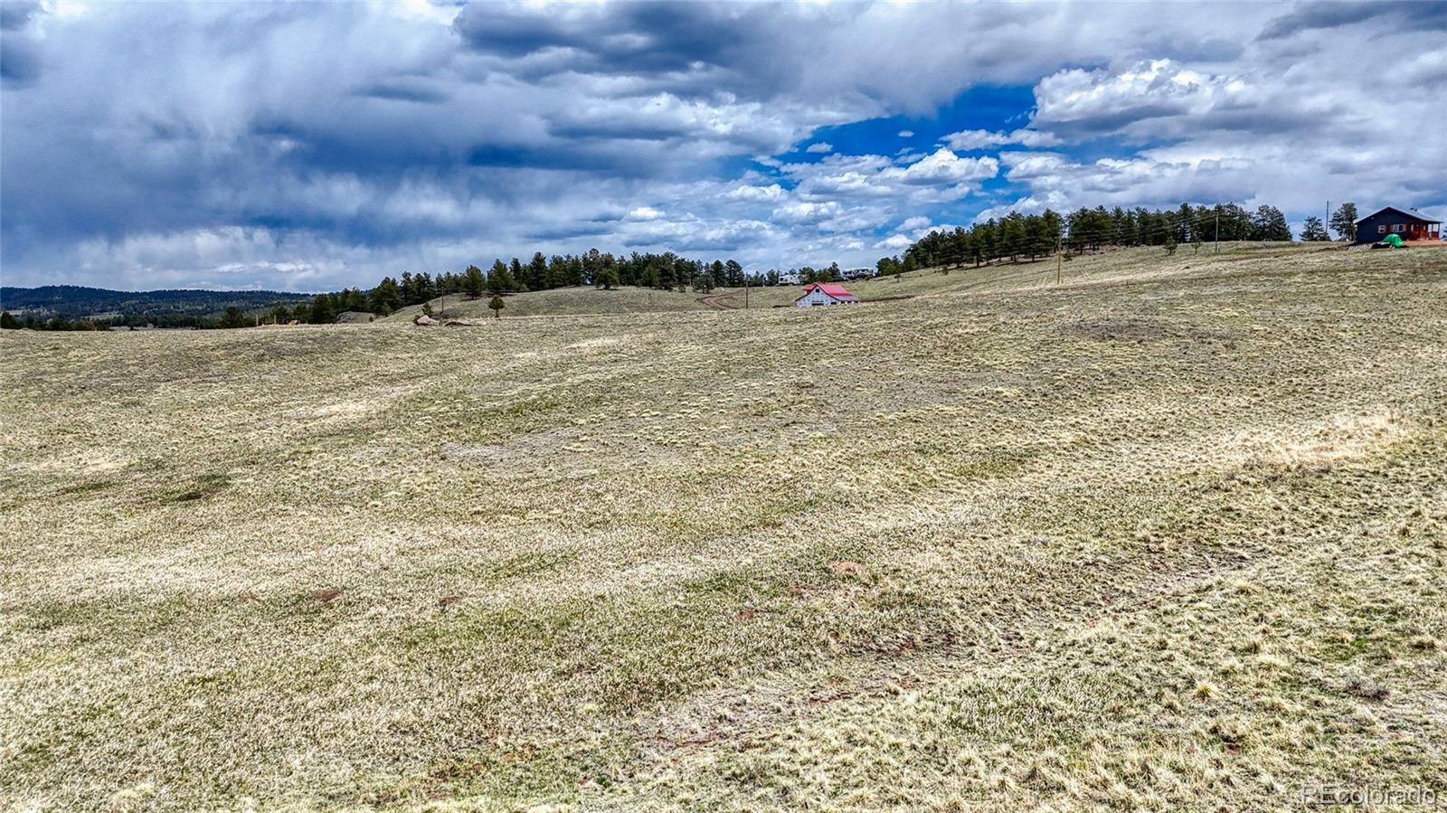 Lot 007 County Road 403 Florissant CO 80816