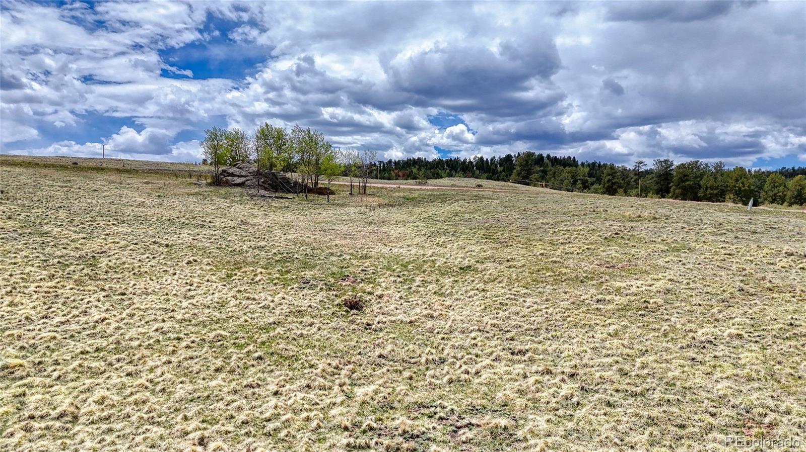 Lot 007 County Road 403 Florissant CO 80816