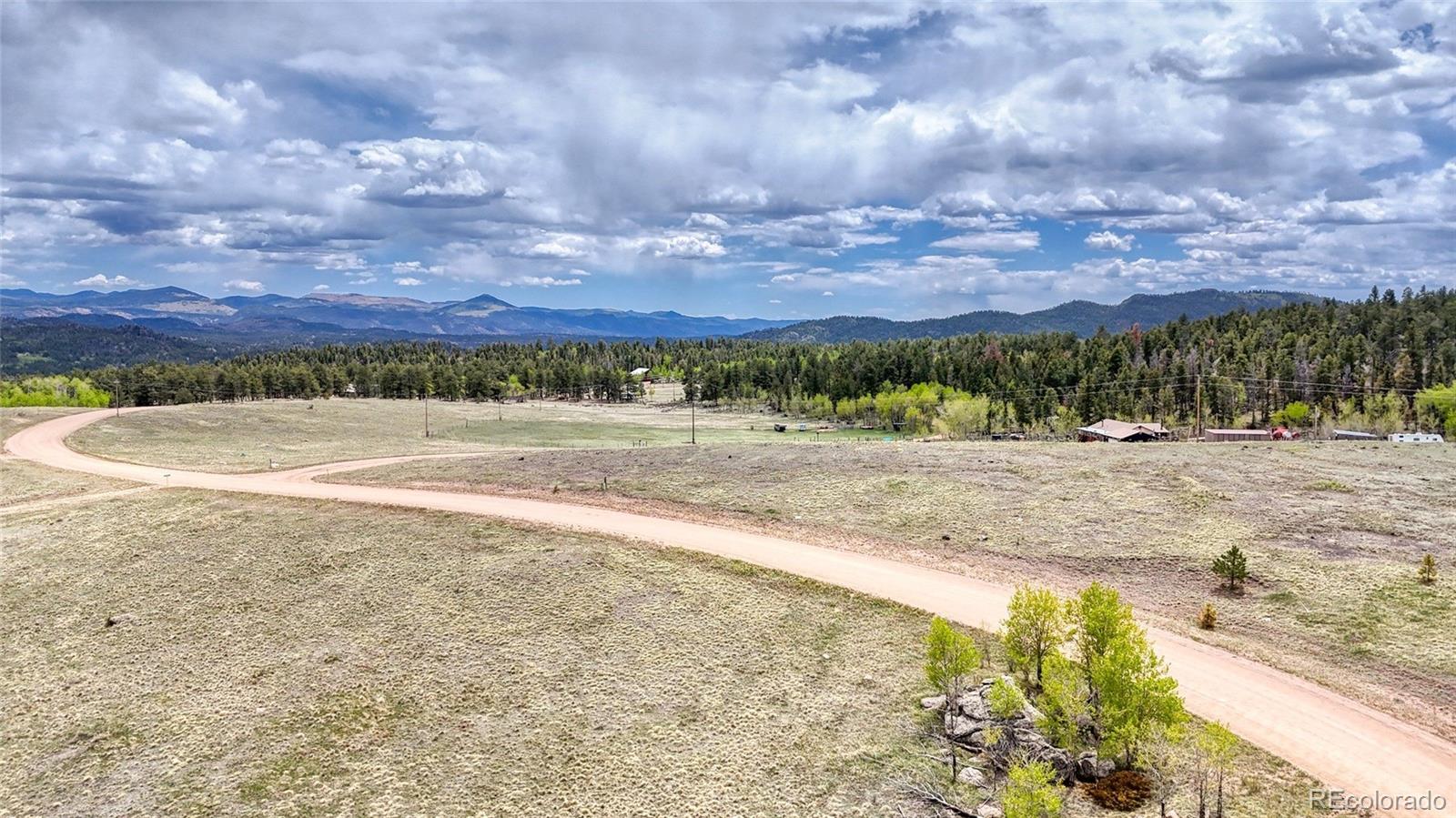 Lot 007 County Road 403 Florissant CO 80816