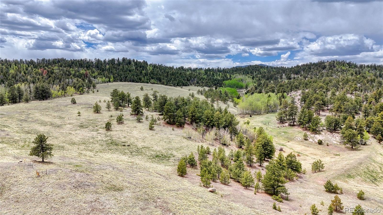 Lot 007 County Road 403 Florissant CO 80816