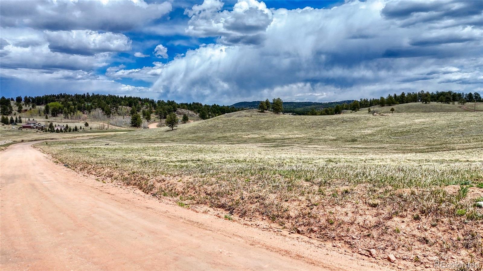 Lot 007 County Road 403 Florissant CO 80816