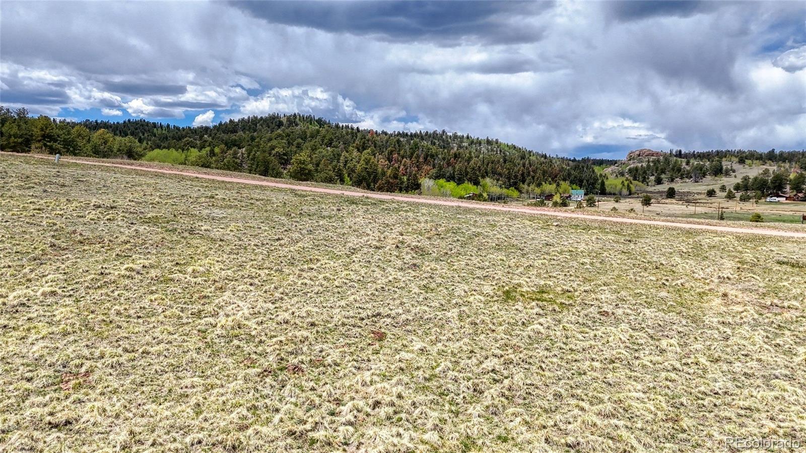 Lot 007 County Road 403 Florissant CO 80816