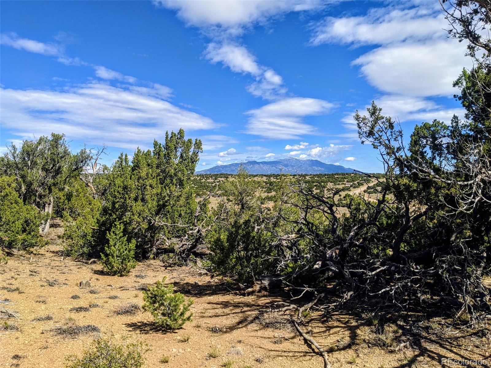 623 Cello Azui Drive Walsenburg CO 81089