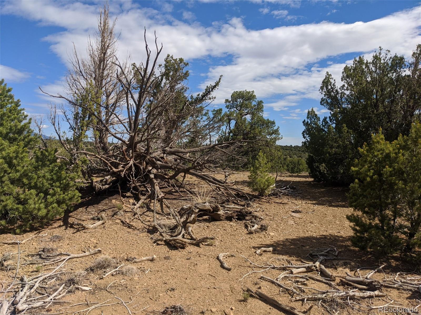 623 Cello Azui Drive Walsenburg CO 81089