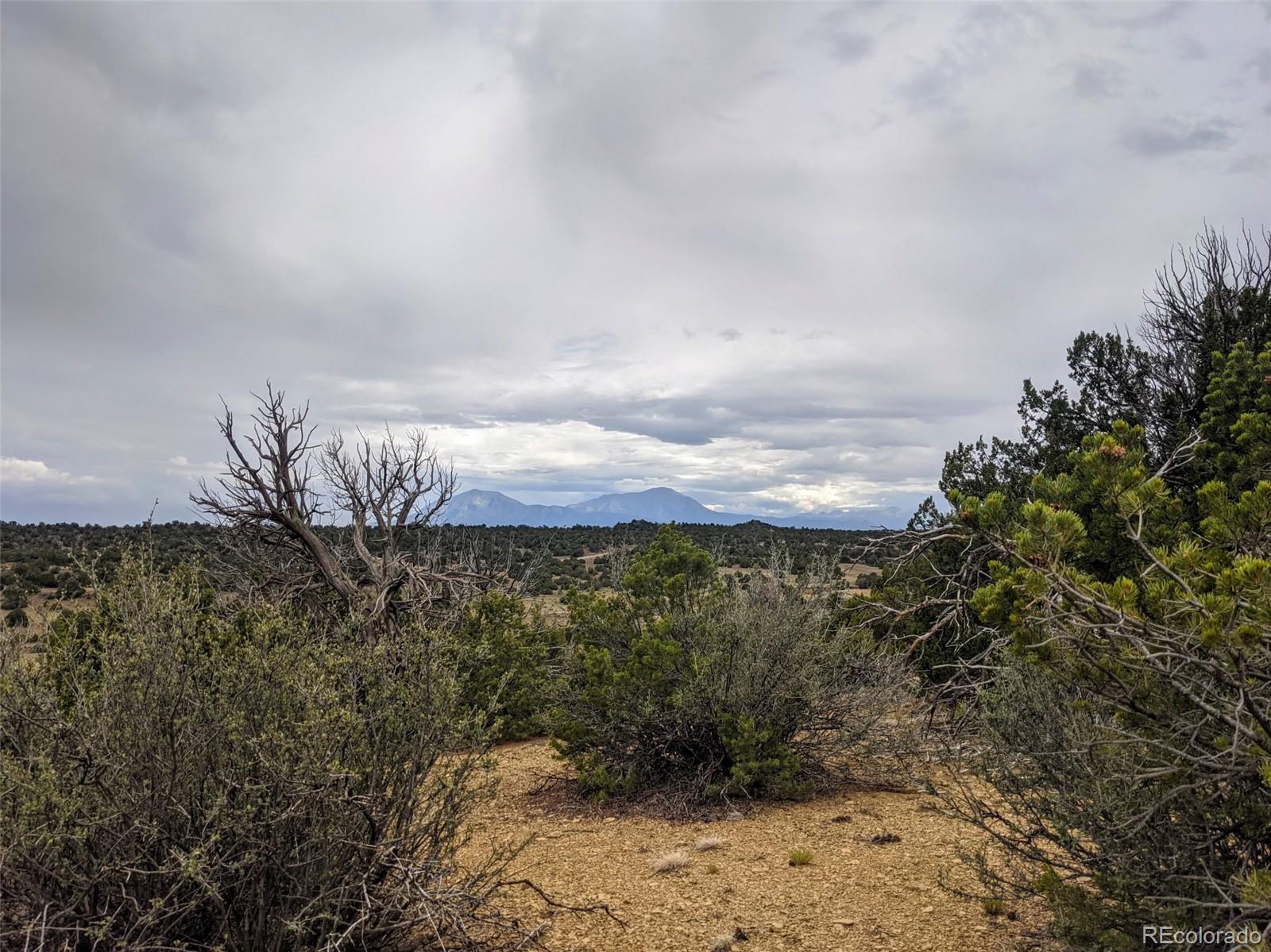 623 Cello Azui Drive Walsenburg CO 81089