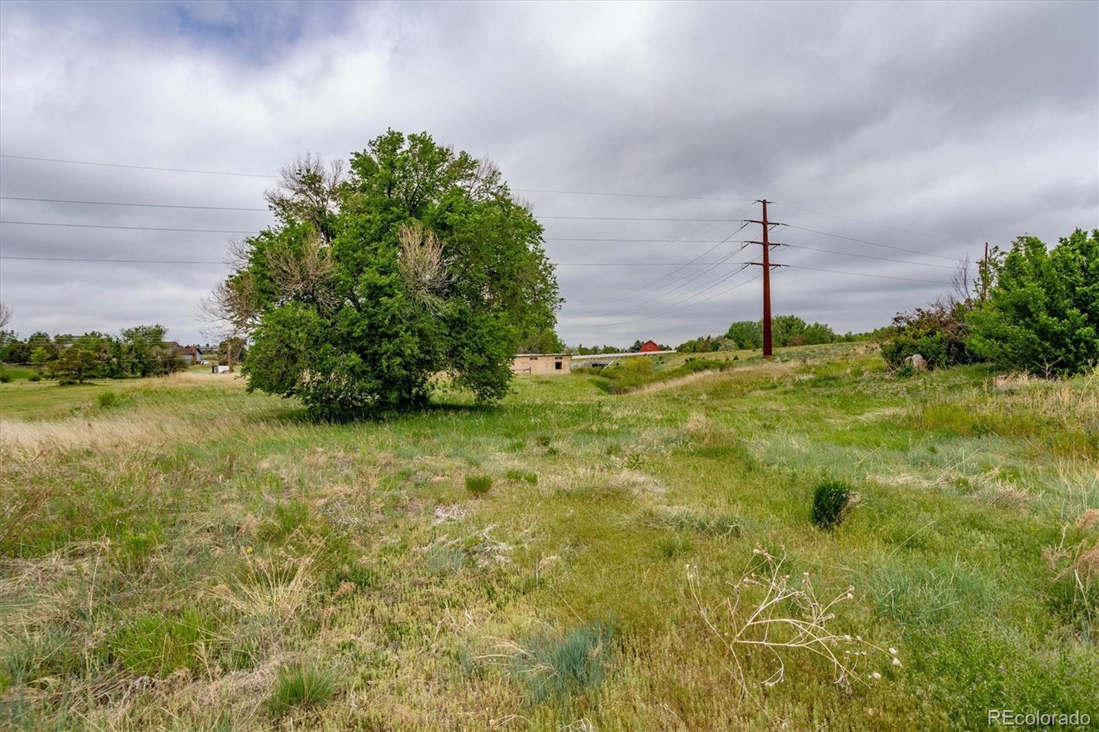 6731 S Himalaya Way Centennial CO 80016