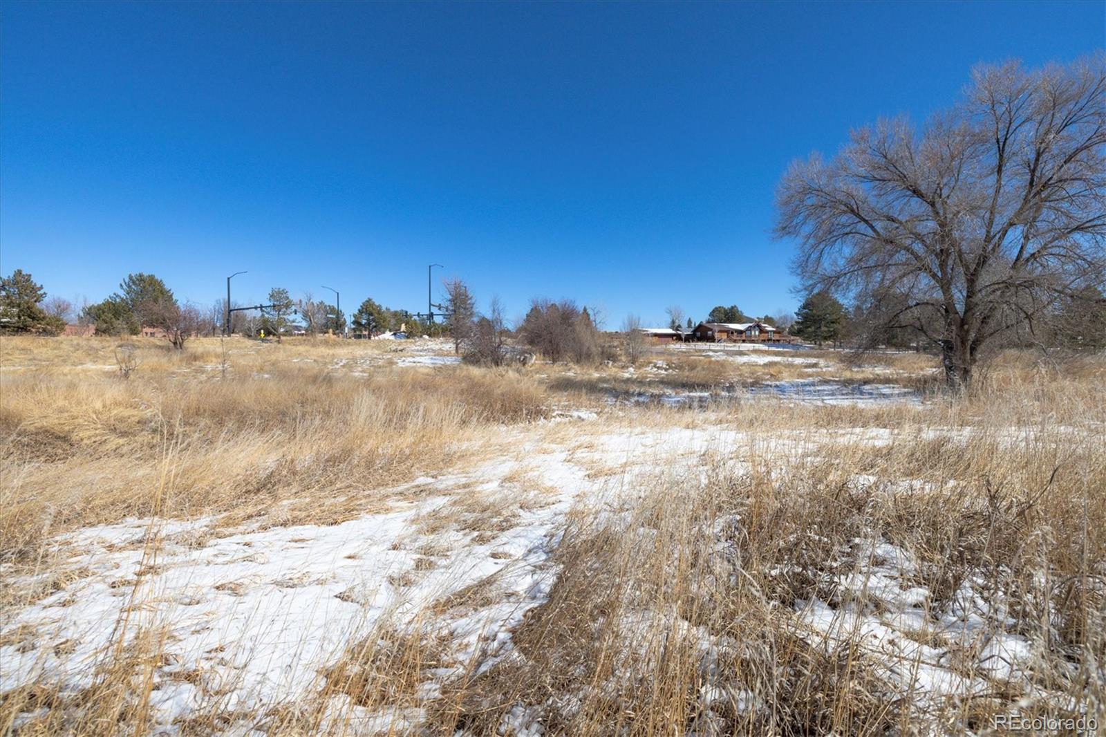 6731 S Himalaya Way Centennial CO 80016
