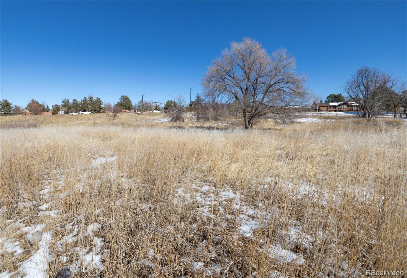 6731 S Himalaya Way Centennial CO 80016