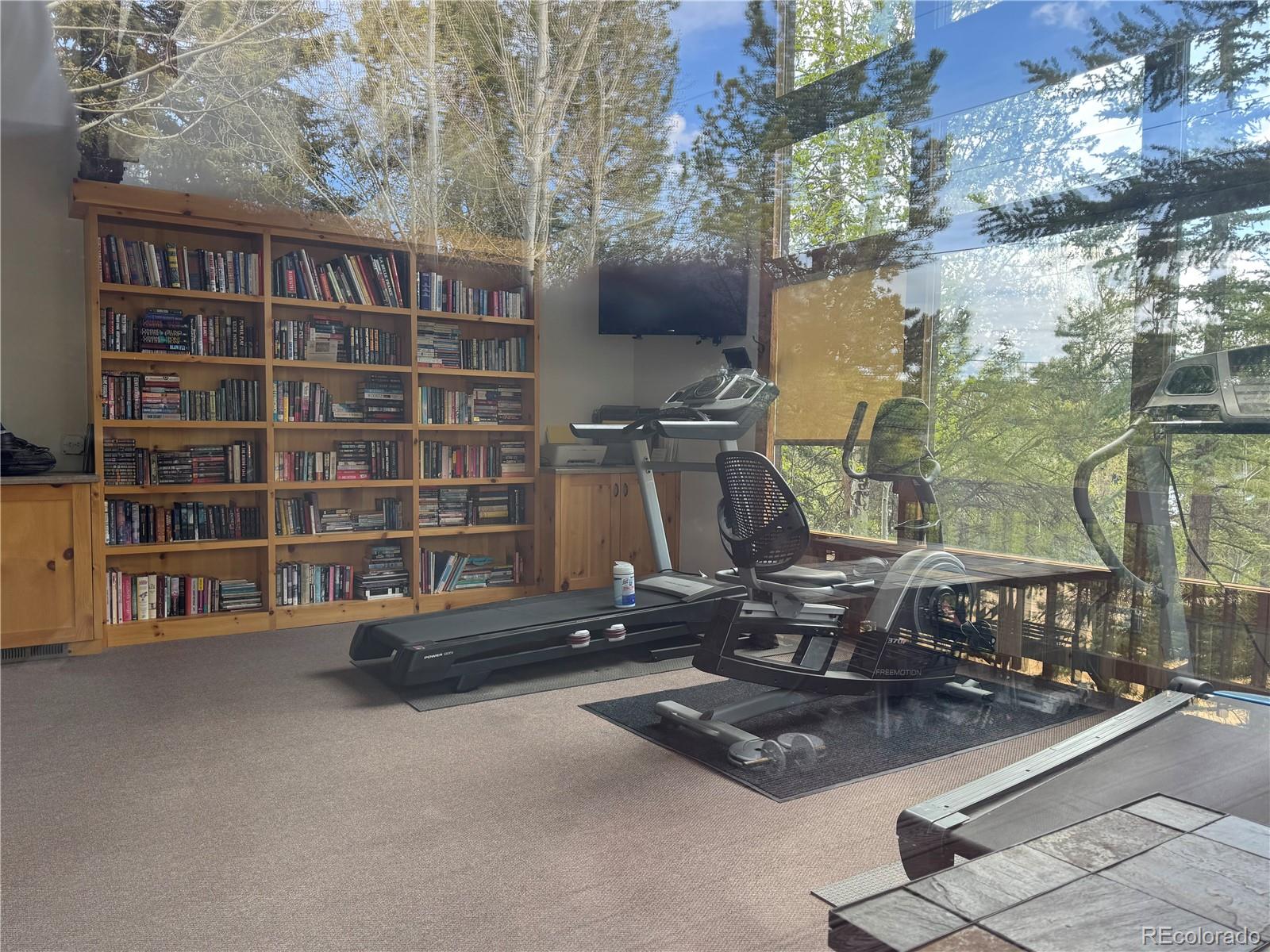 1153 GCR 494 / Columbine Drive Grand Lake CO 80447
