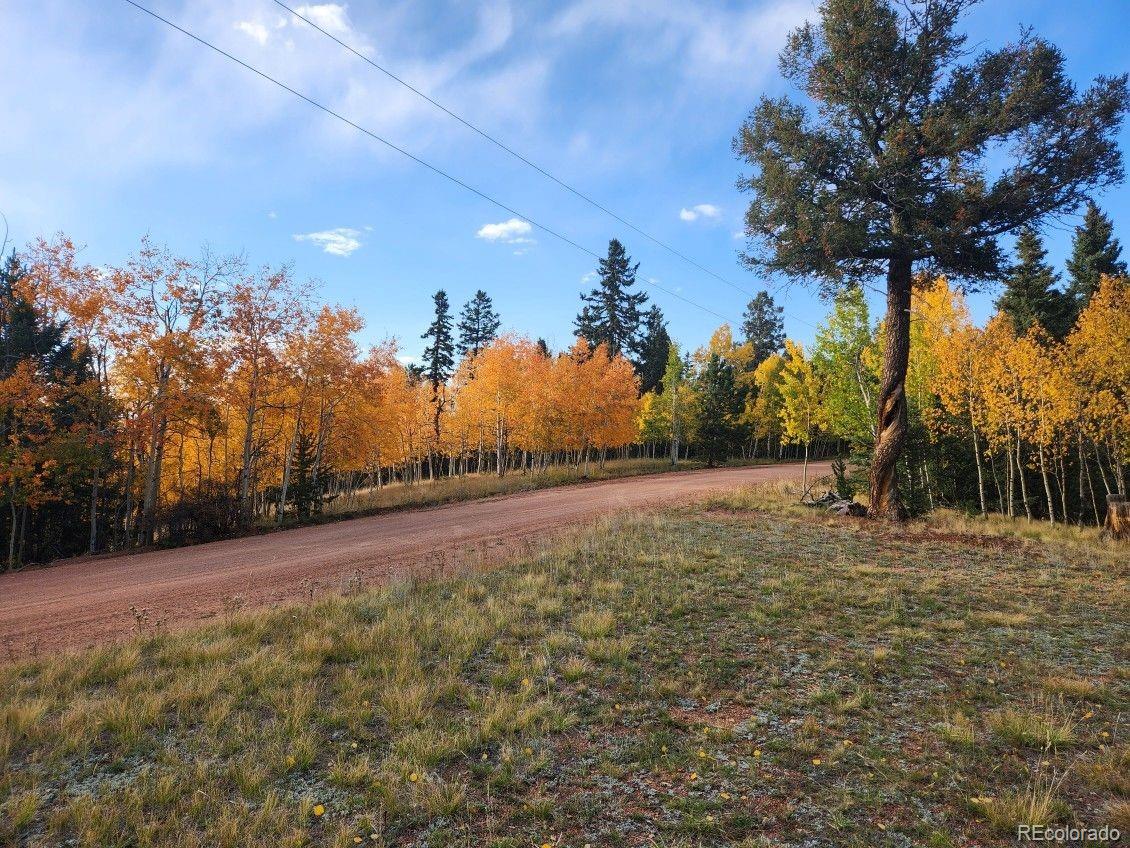 2642 Yorktown Road Cripple Creek CO 80813