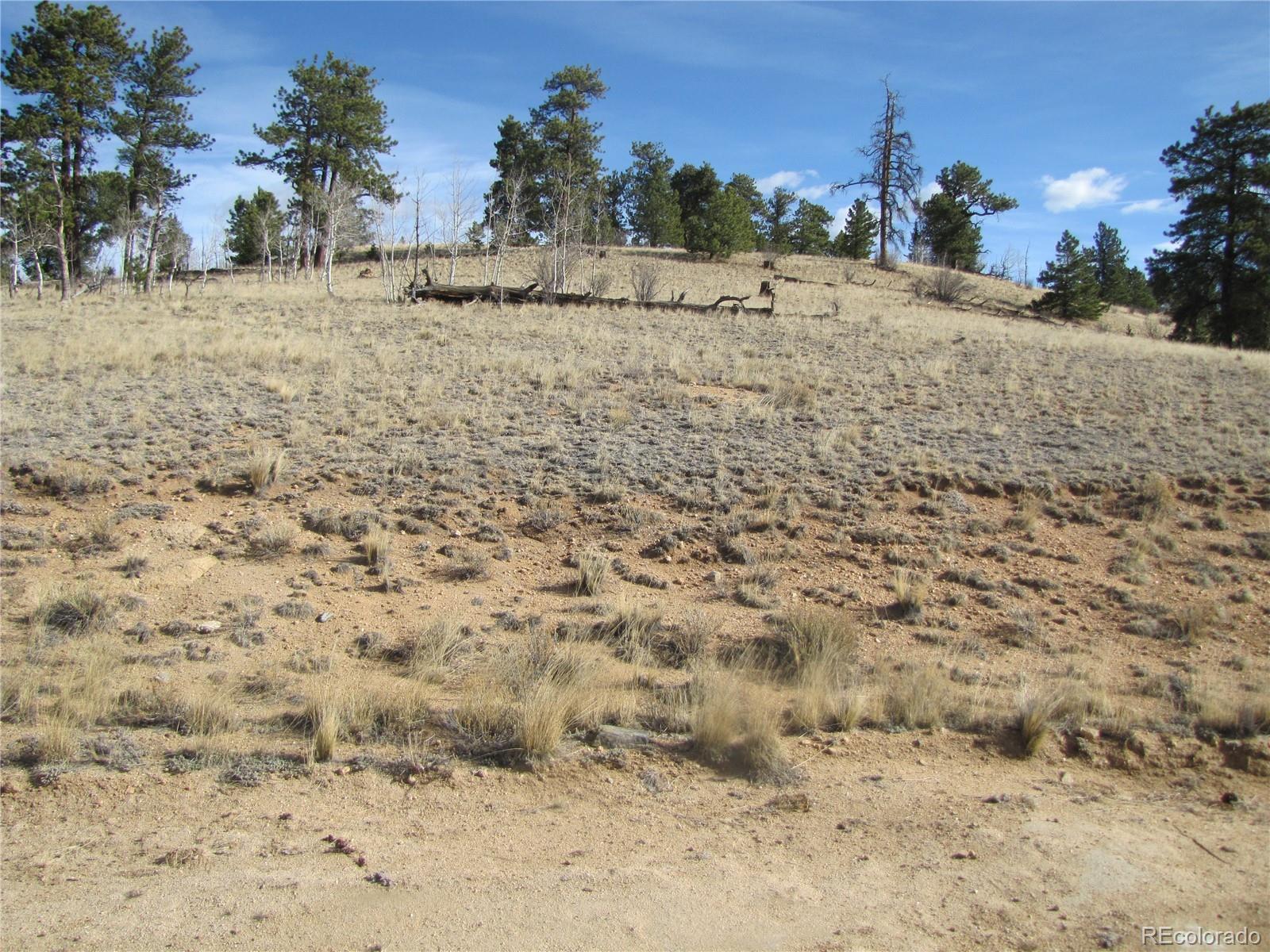 757 Remington Road Como CO 80432