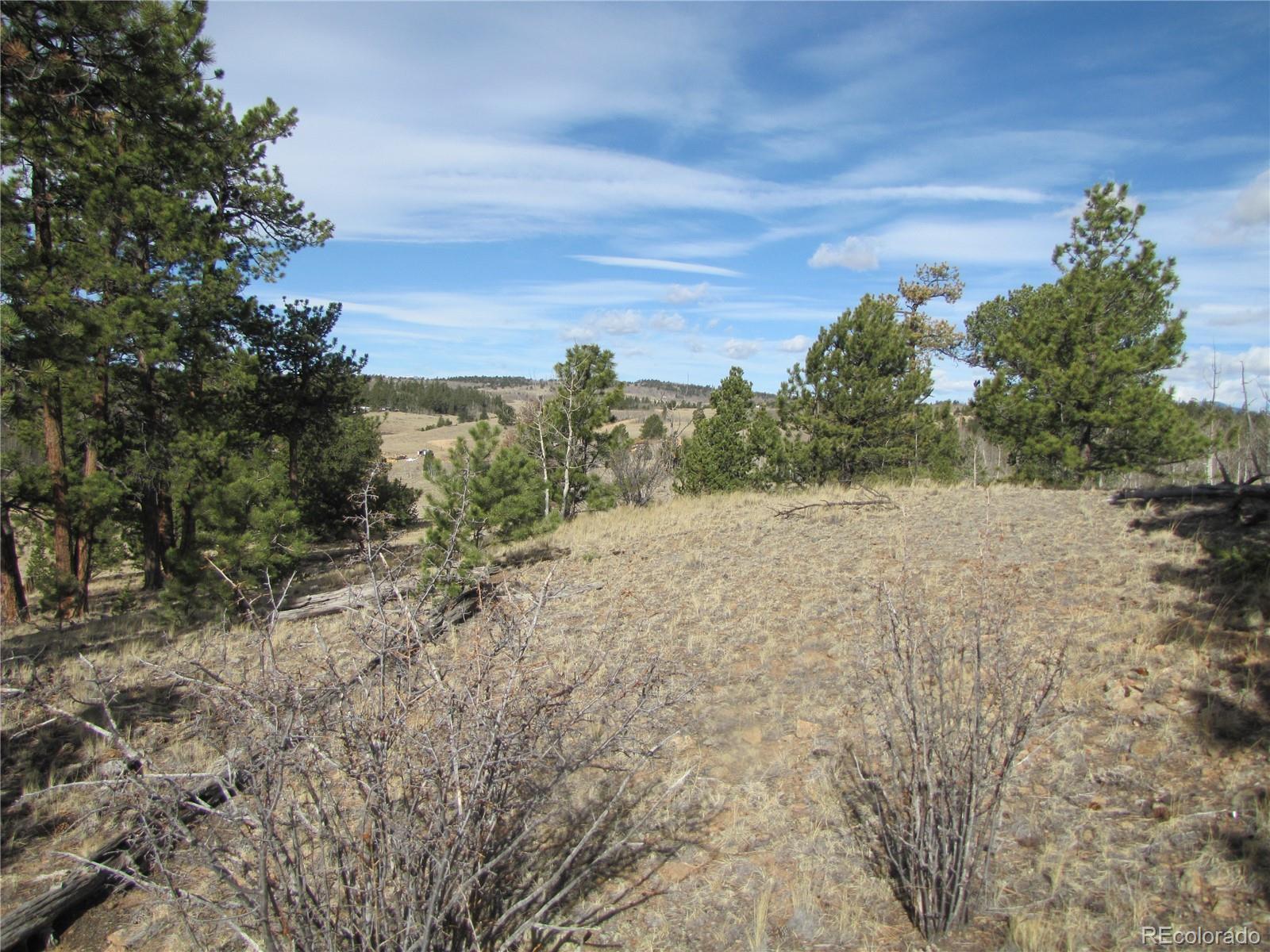 757 Remington Road Como CO 80432