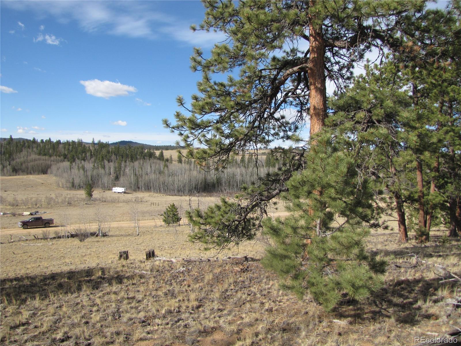 757 Remington Road Como CO 80432