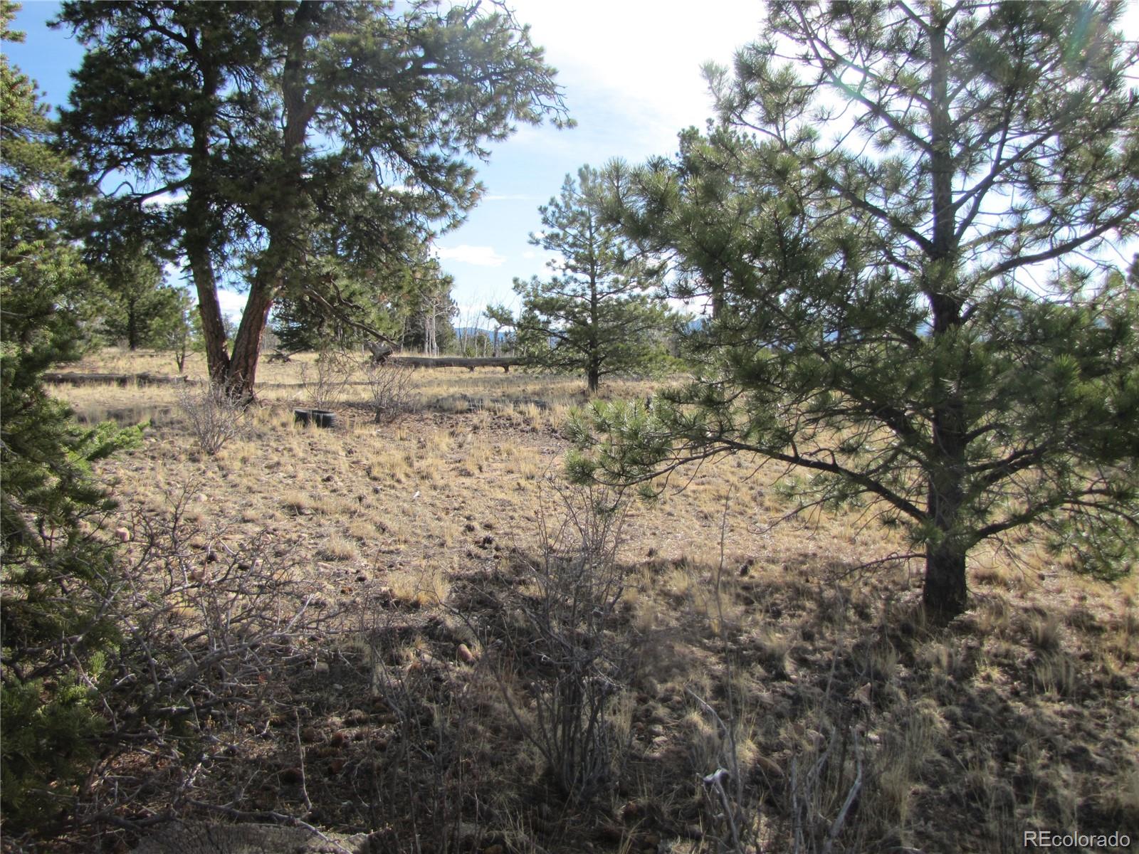 757 Remington Road Como CO 80432