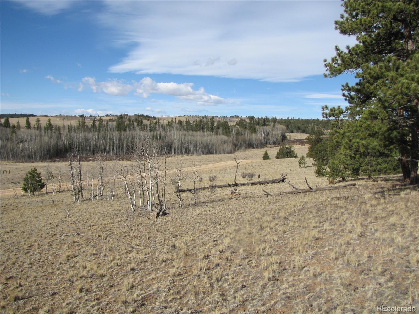 757 Remington Road Como CO 80432