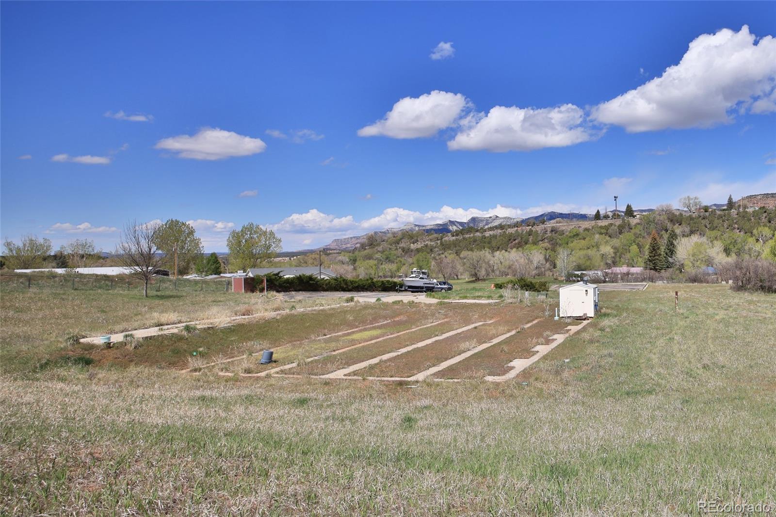 1006 Spring Street Collbran CO 81624
