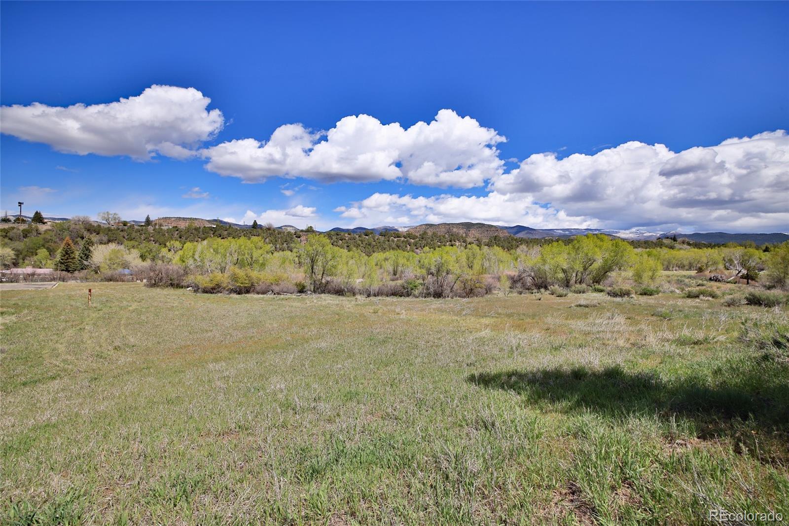 1006 Spring Street Collbran CO 81624