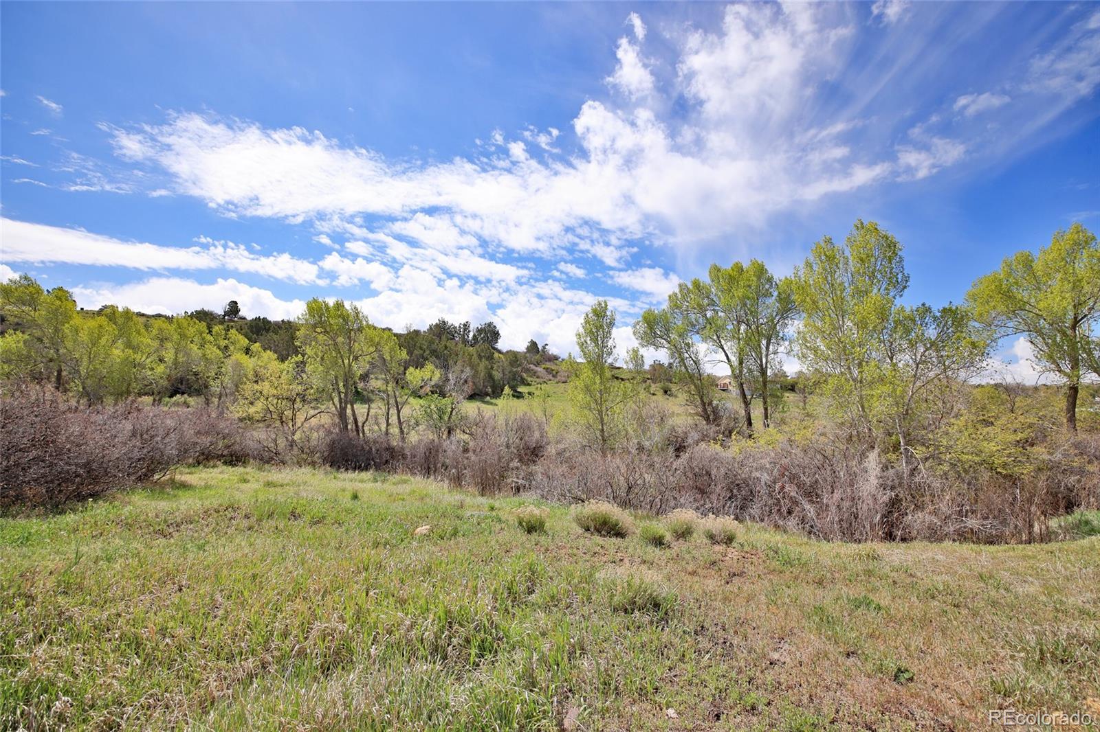 1006 Spring Street Collbran CO 81624