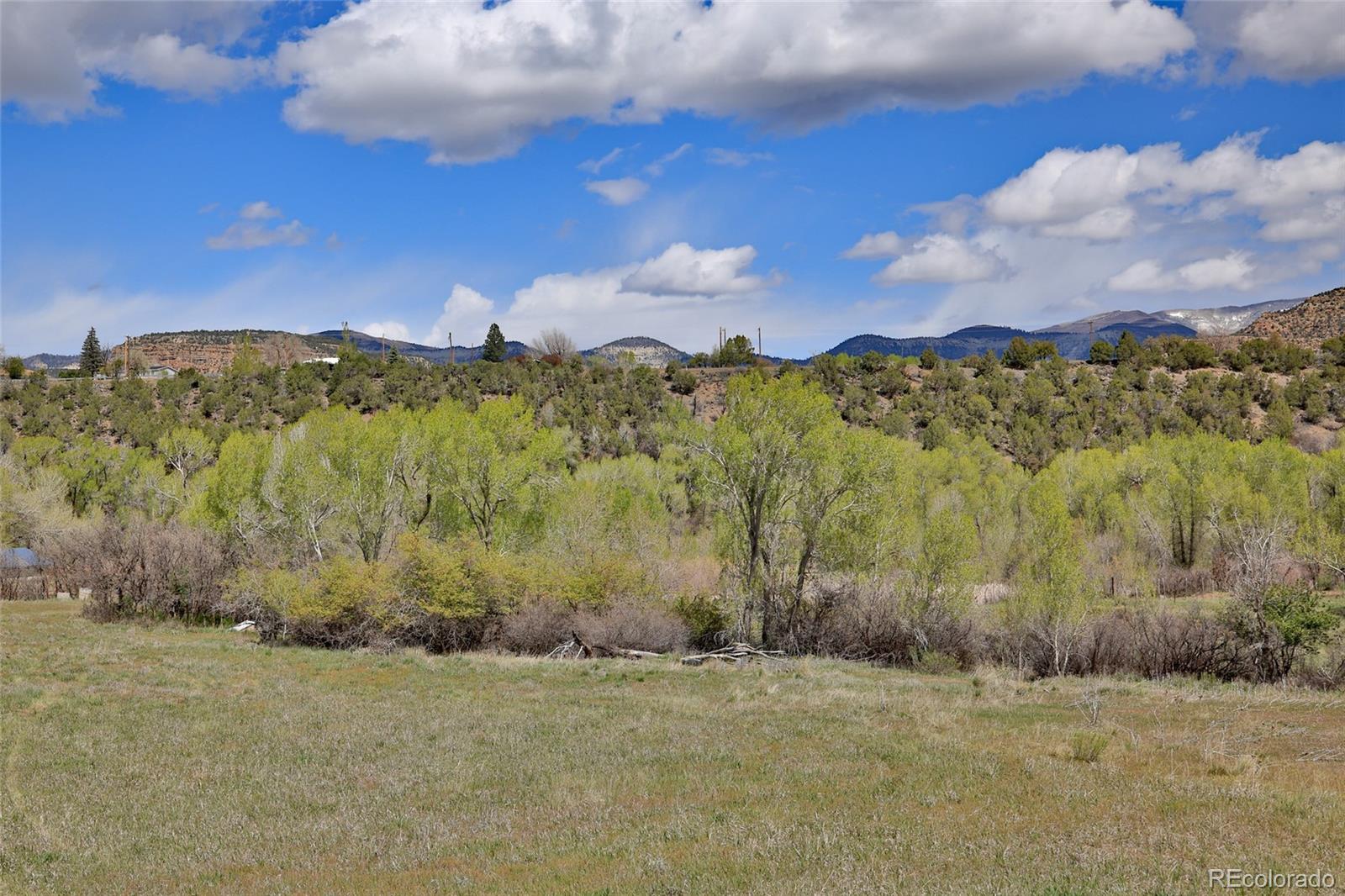 1006 Spring Street Collbran CO 81624