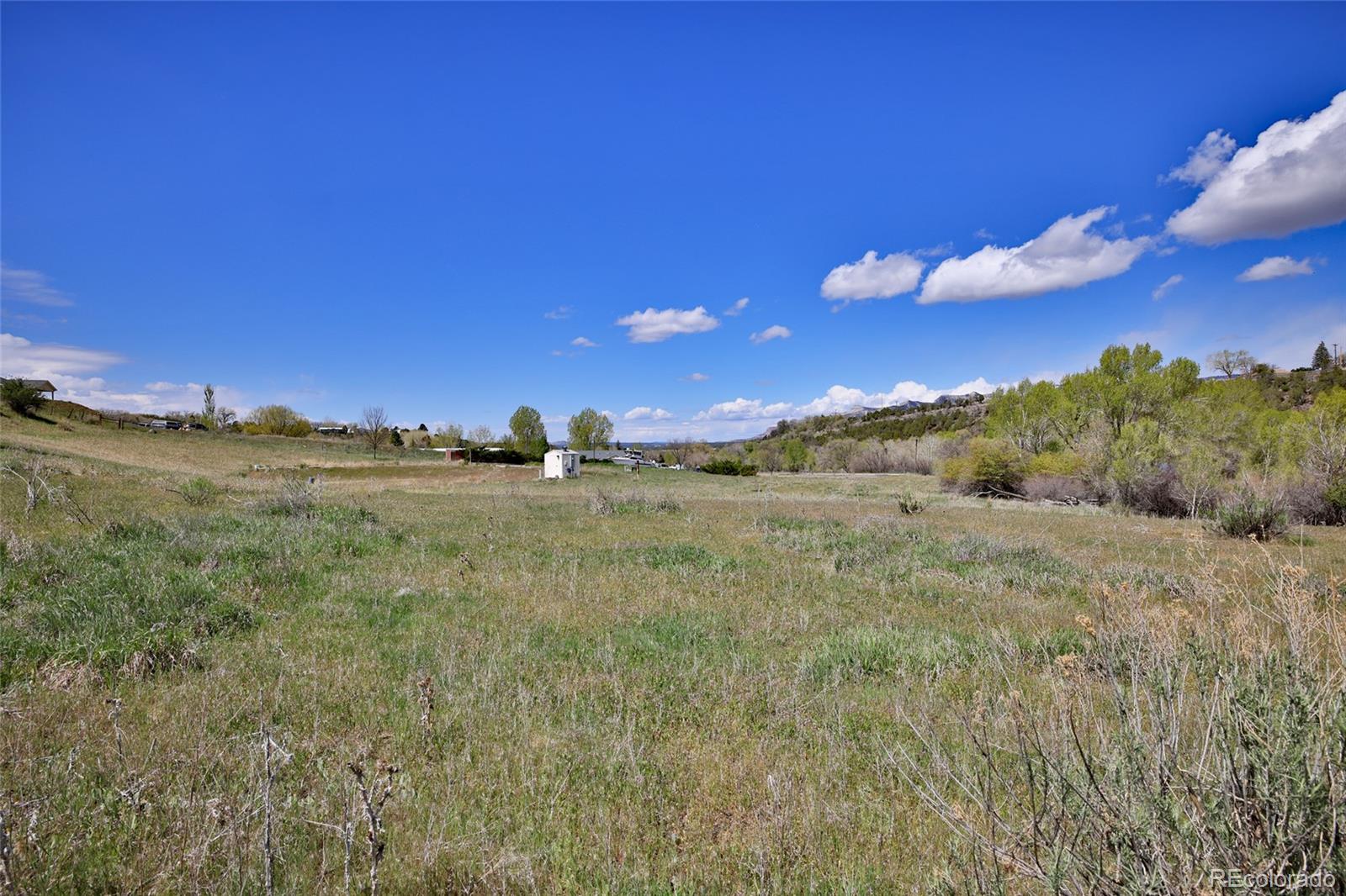 1006 Spring Street Collbran CO 81624