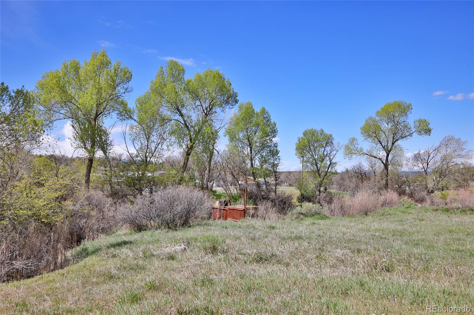 1006 Spring Street Collbran CO 81624
