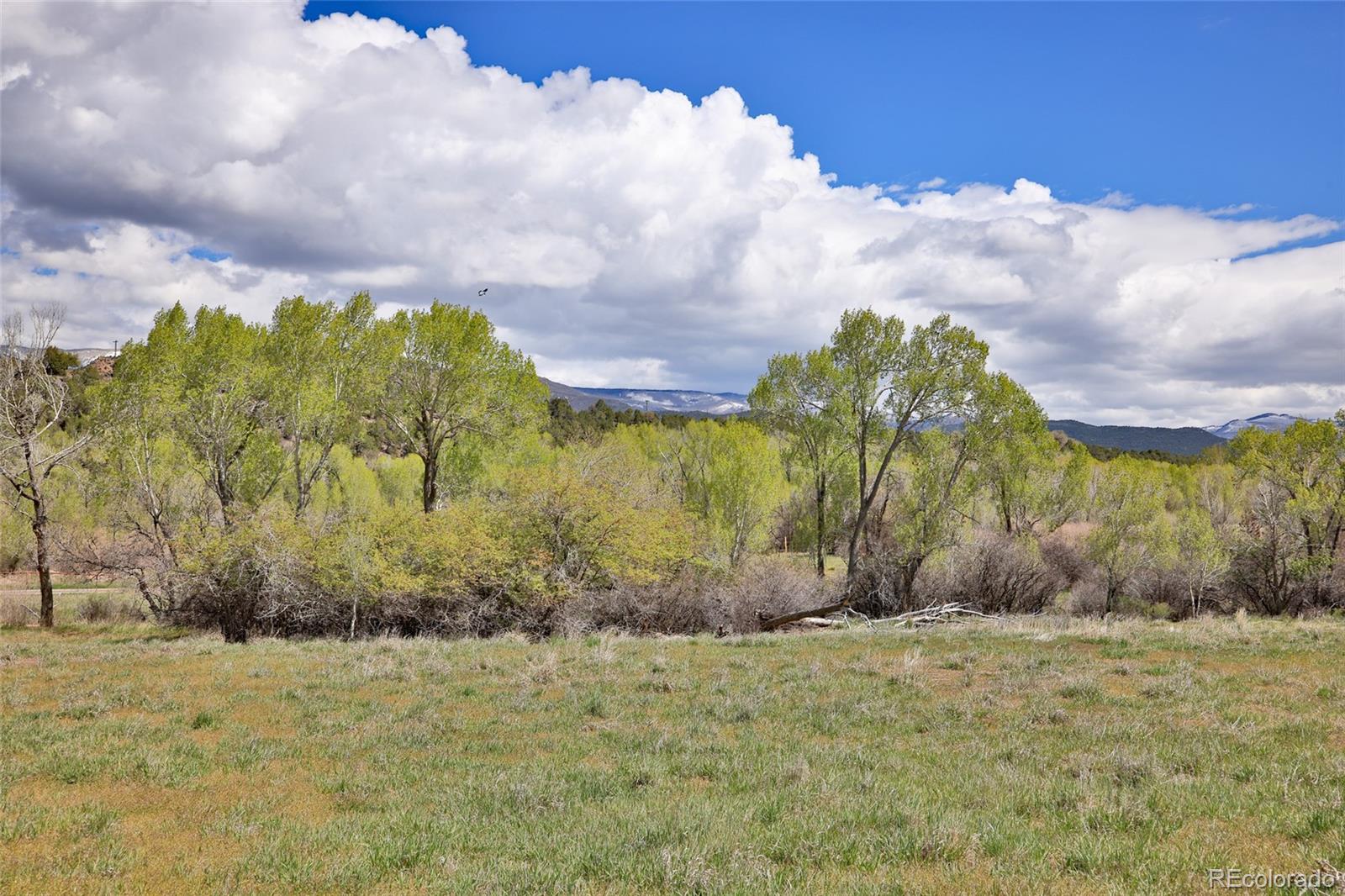 1006 Spring Street Collbran CO 81624