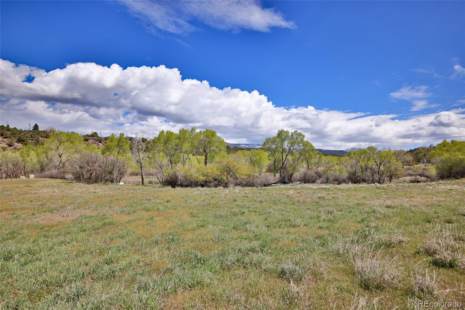 1006 Spring Street Collbran CO 81624