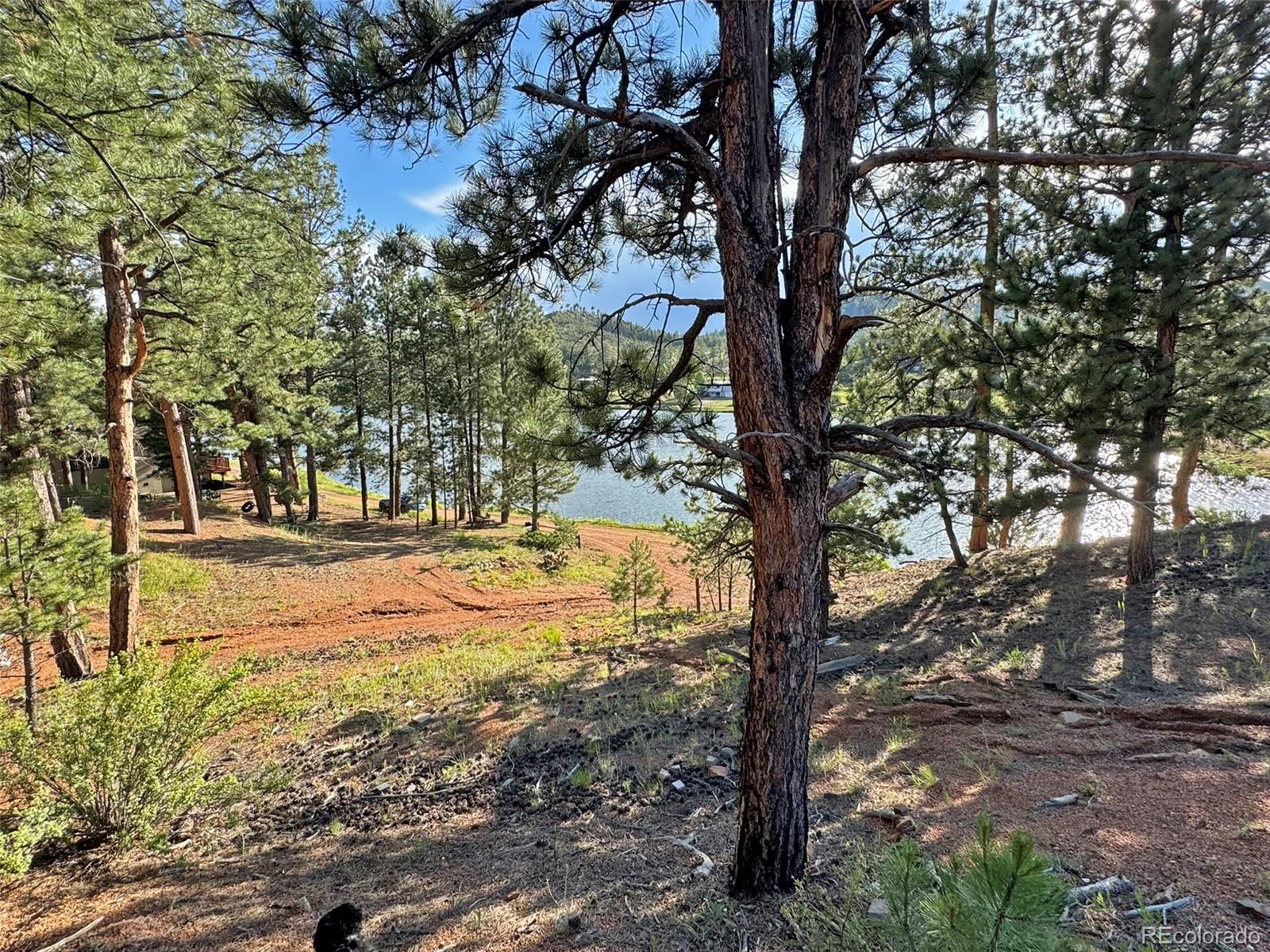 14924 Pine Lake Drive Sedalia CO 80135
