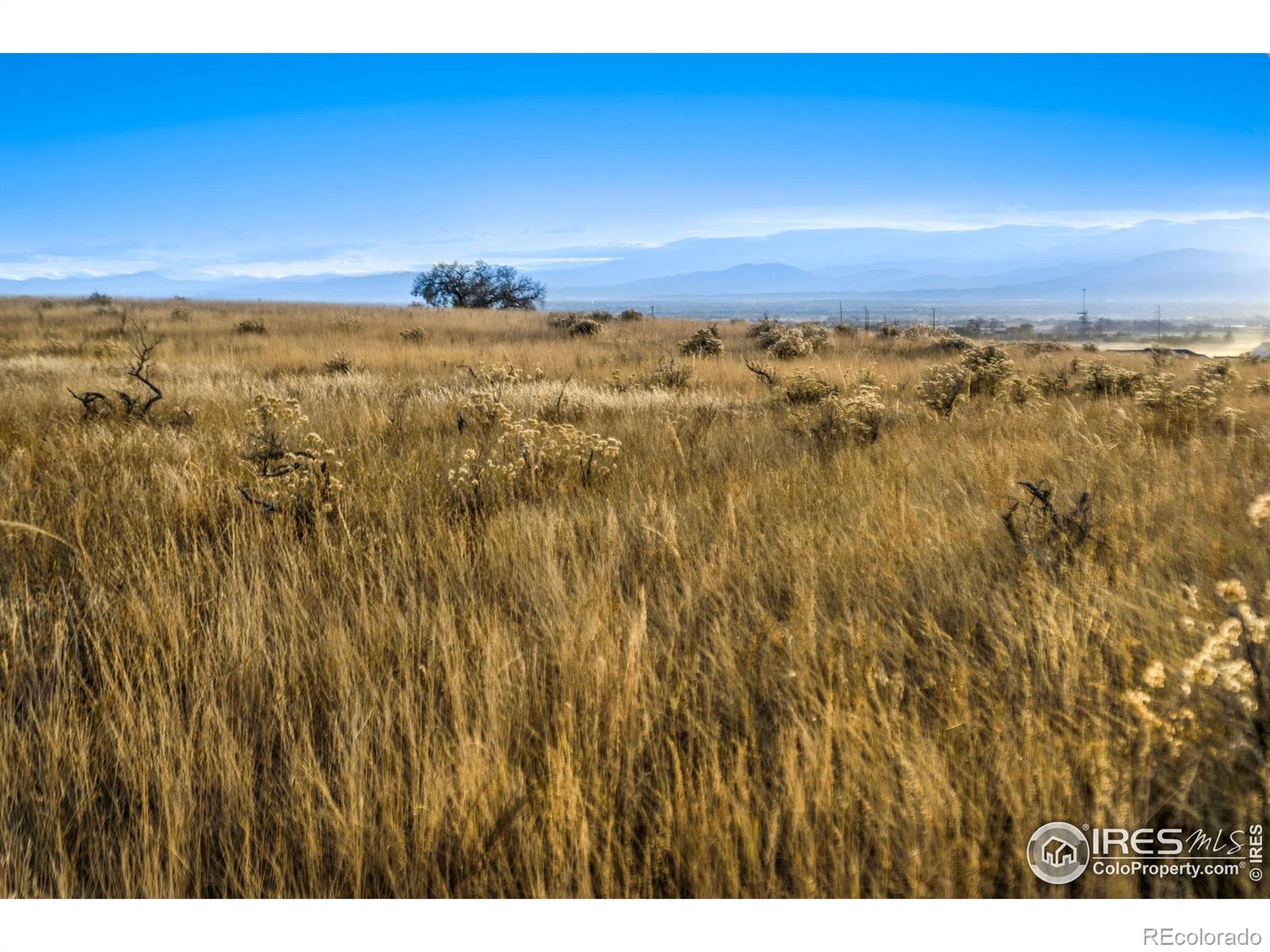 7923 County Road 84 Fort Collins CO 80524