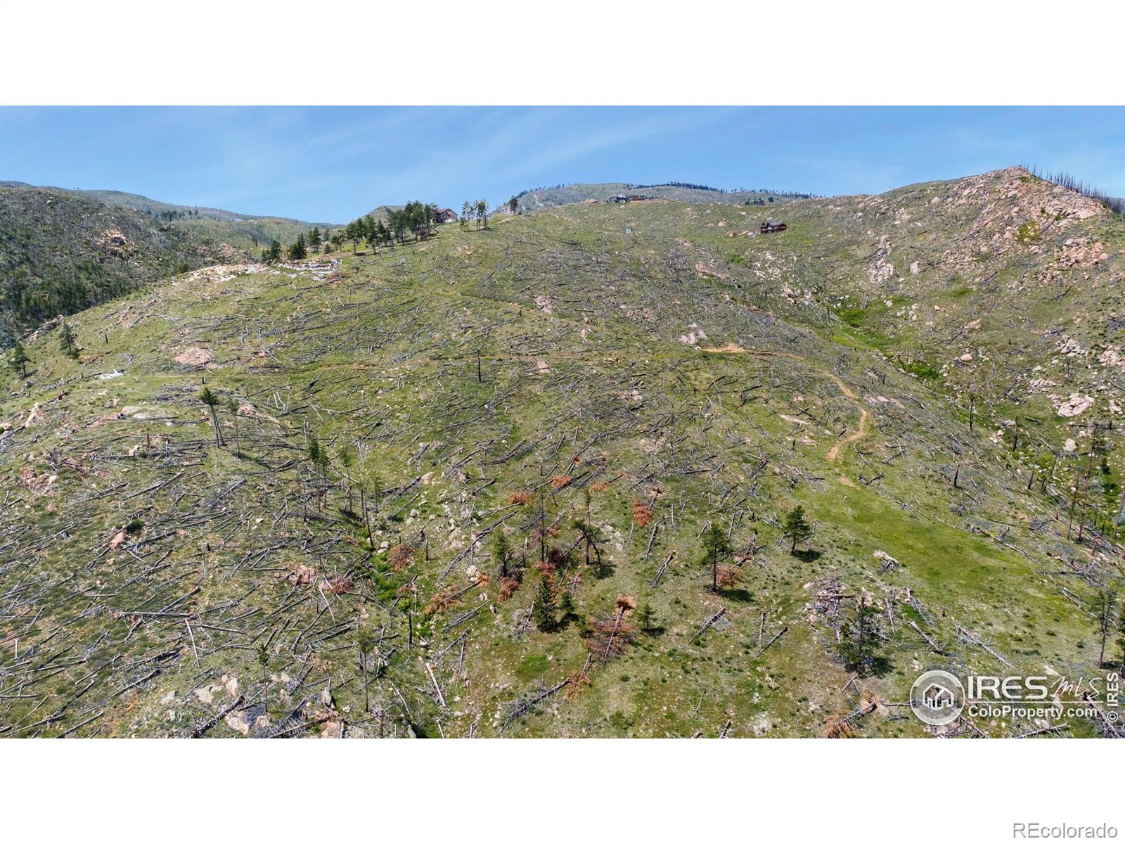 898 Hernia Hill Trail Bellvue CO 80512