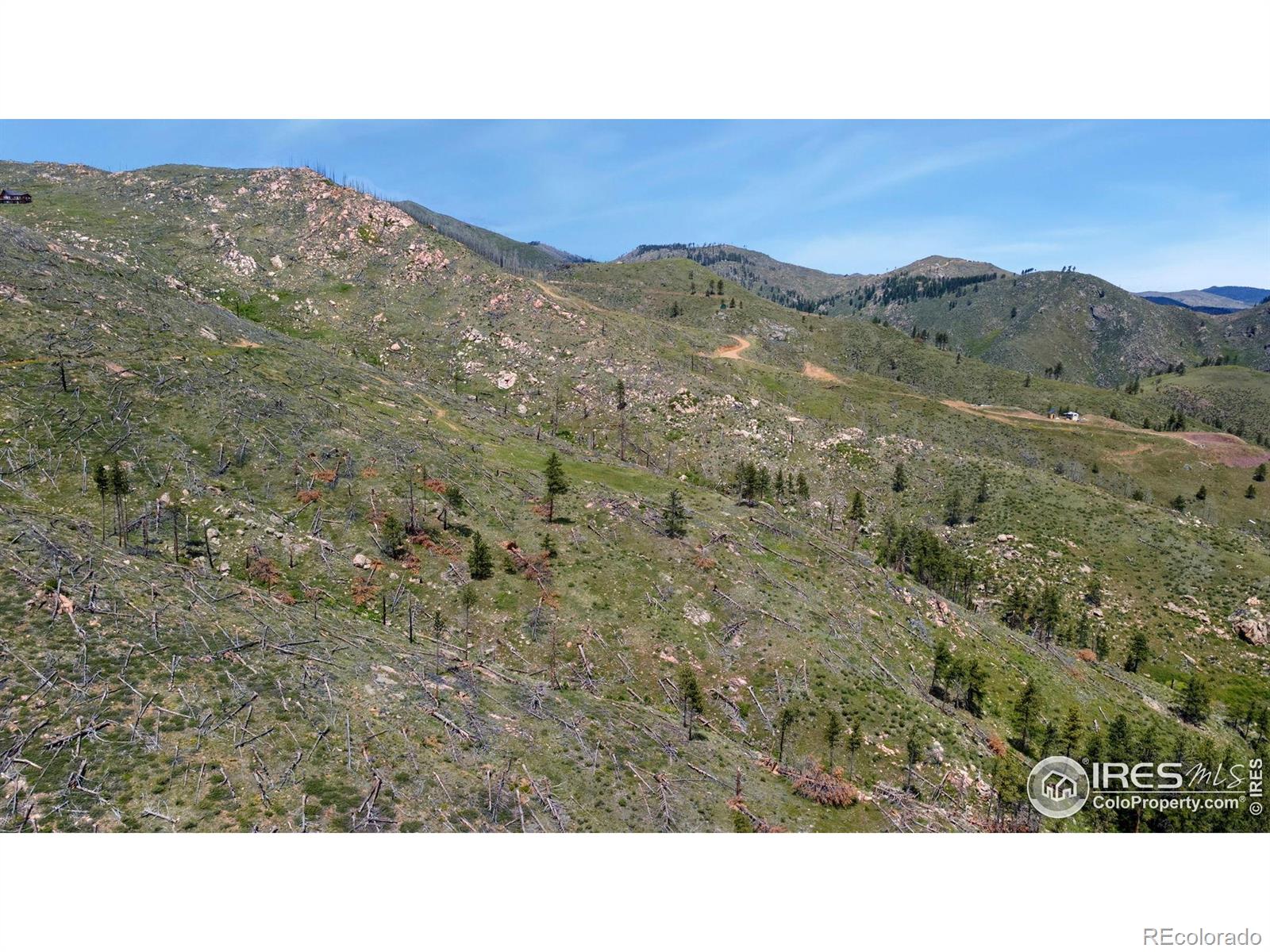 898 Hernia Hill Trail Bellvue CO 80512
