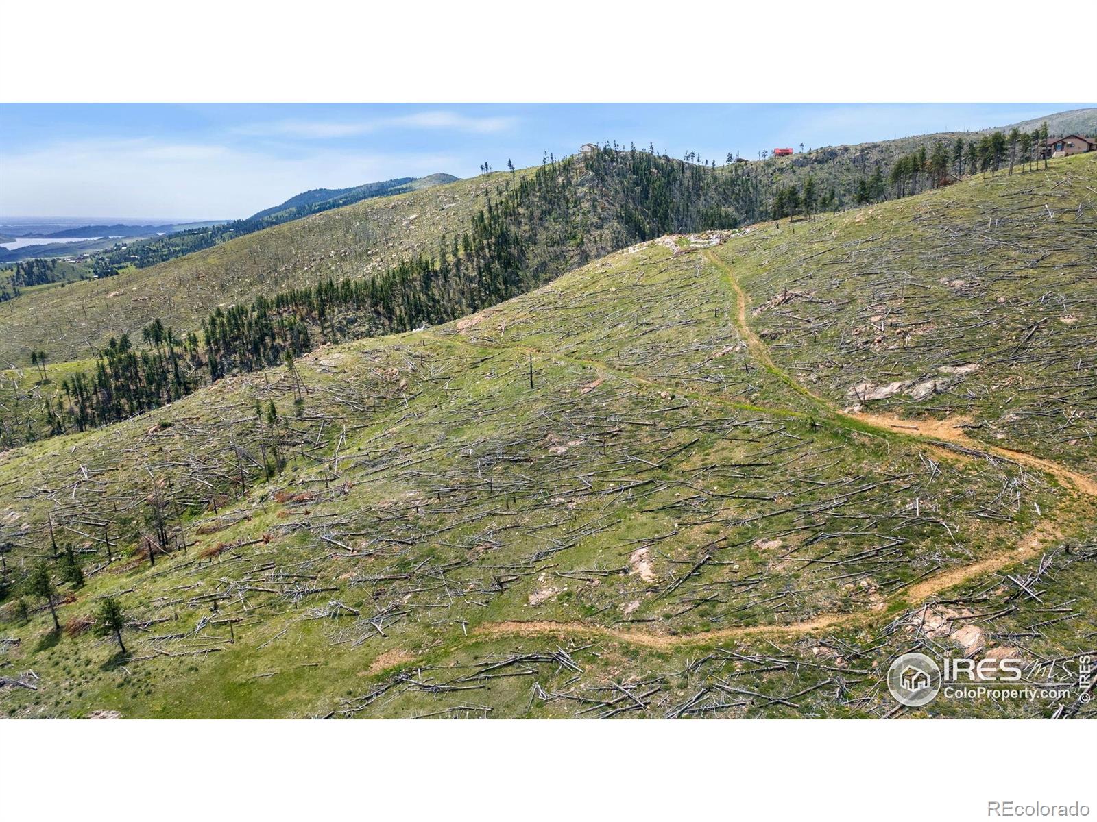 898 Hernia Hill Trail Bellvue CO 80512