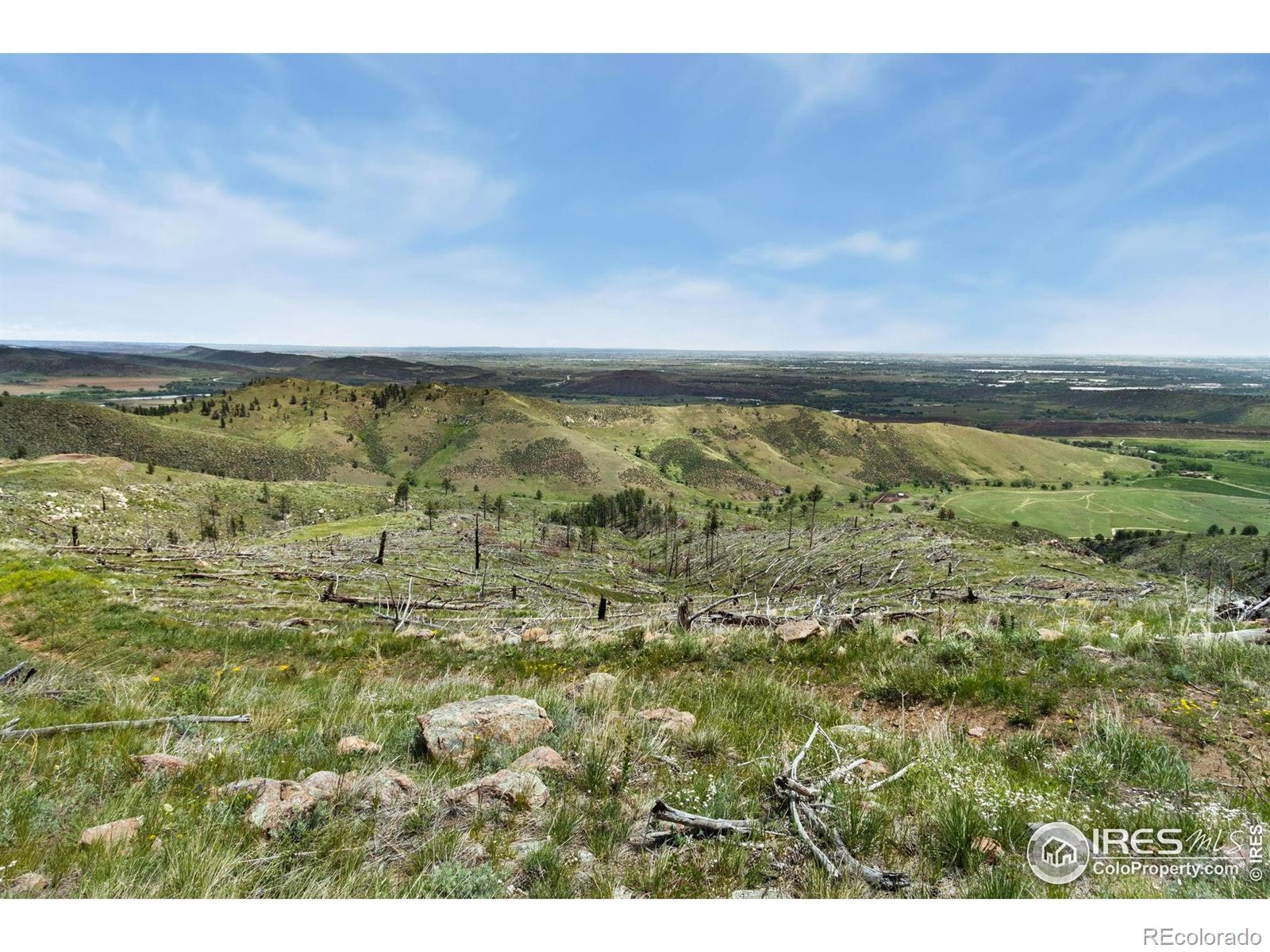 898 Hernia Hill Trail Bellvue CO 80512