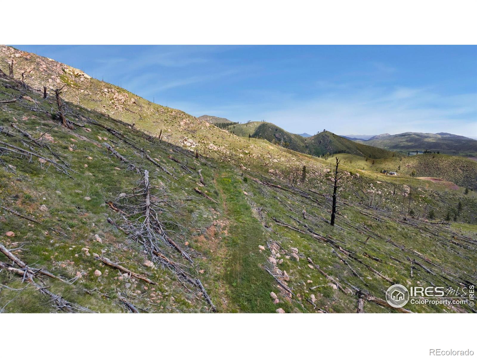 898 Hernia Hill Trail Bellvue CO 80512