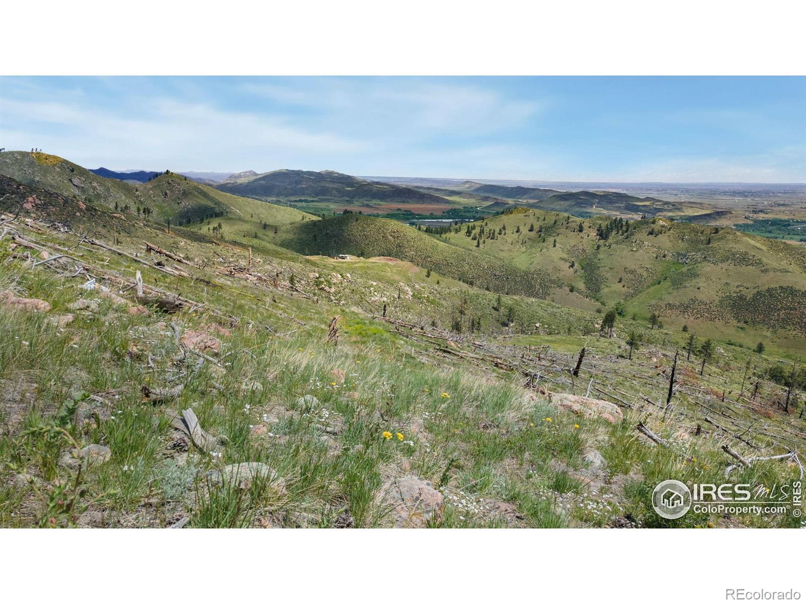 898 Hernia Hill Trail Bellvue CO 80512