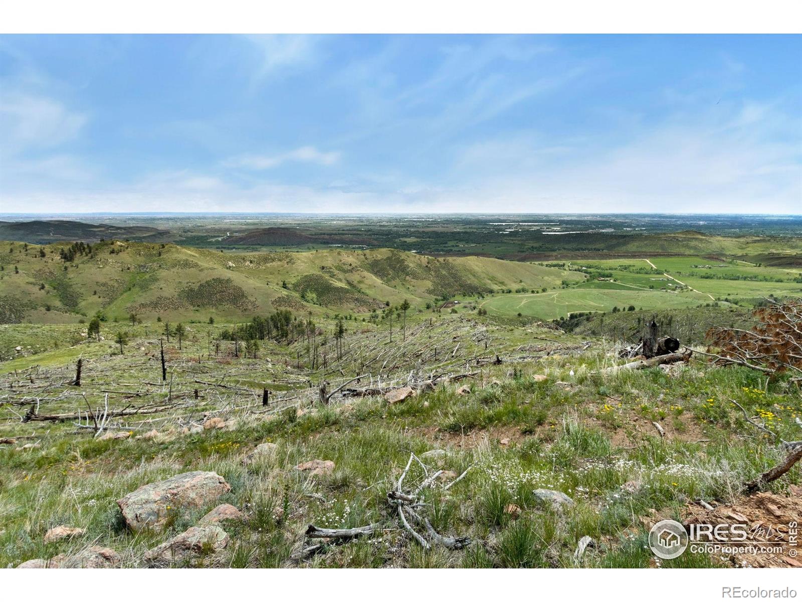 898 Hernia Hill Trail Bellvue CO 80512