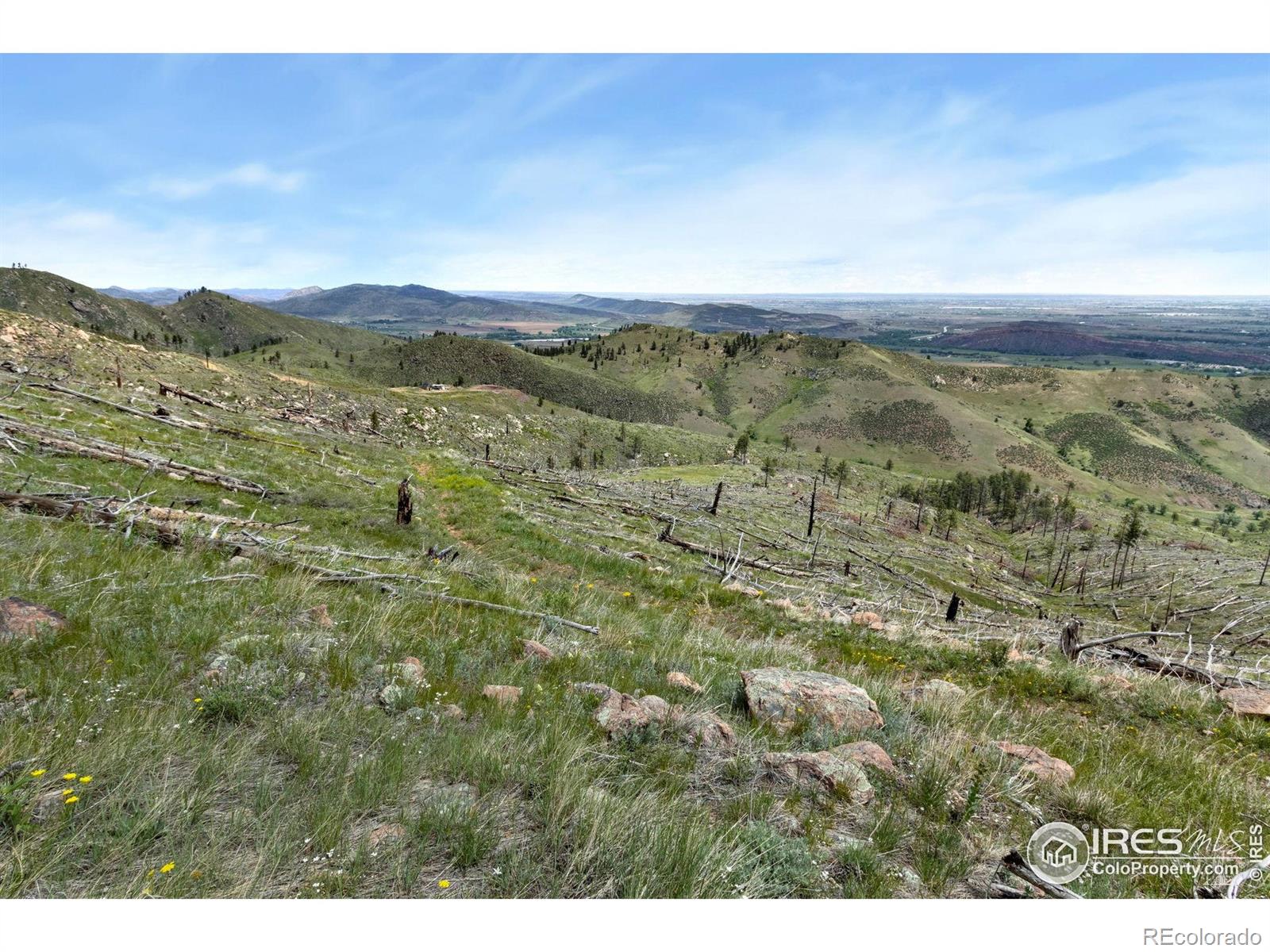 898 Hernia Hill Trail Bellvue CO 80512
