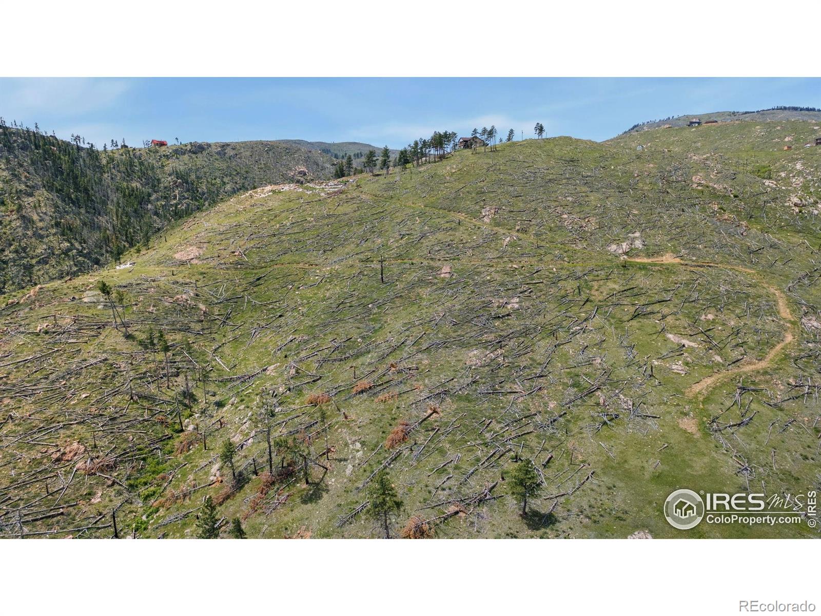 898 Hernia Hill Trail Bellvue CO 80512