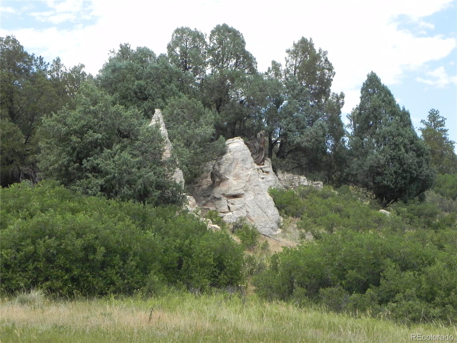 7749 Inca Road Larkspur CO 80118
