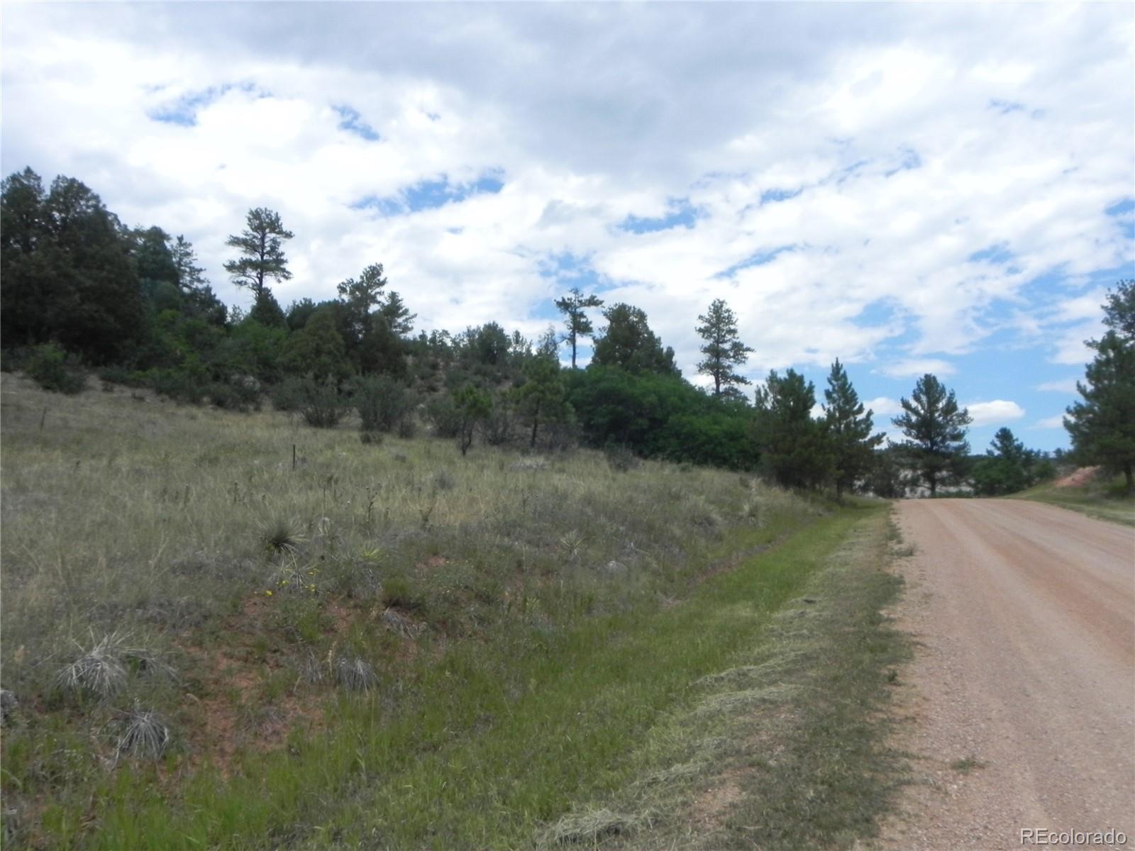 7749 Inca Road Larkspur CO 80118