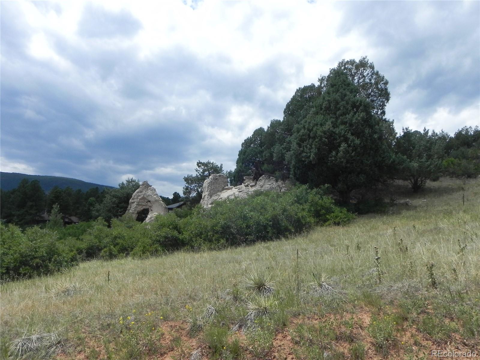7749 Inca Road Larkspur CO 80118