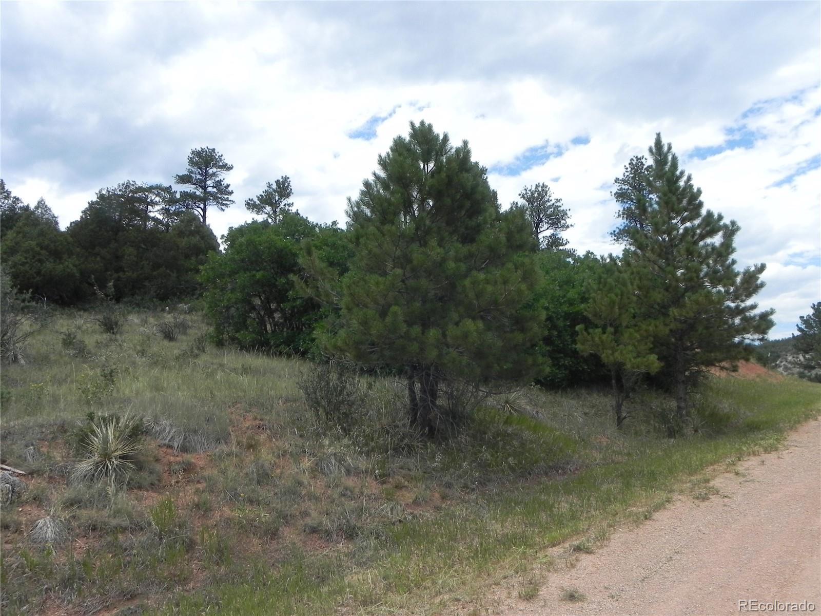 7749 Inca Road Larkspur CO 80118