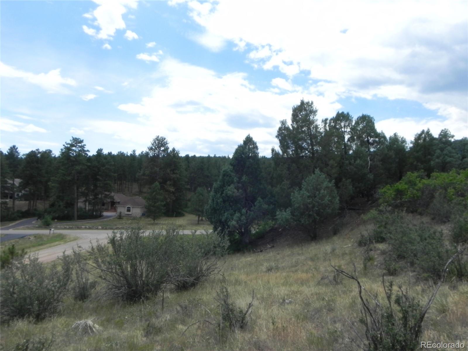 7749 Inca Road Larkspur CO 80118