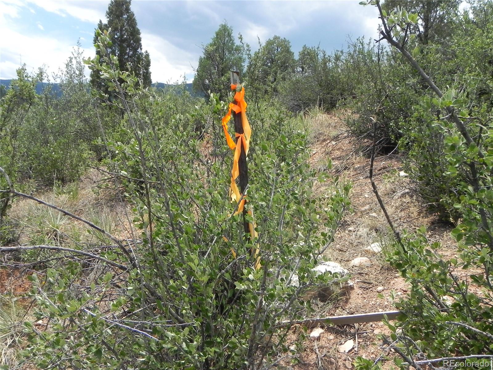 7749 Inca Road Larkspur CO 80118