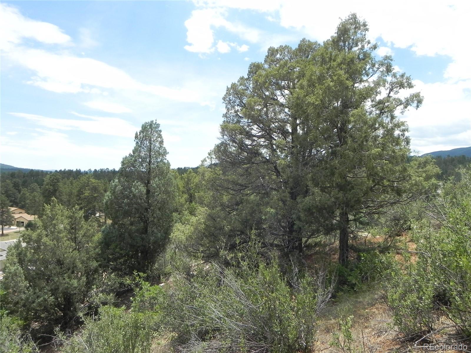 7749 Inca Road Larkspur CO 80118
