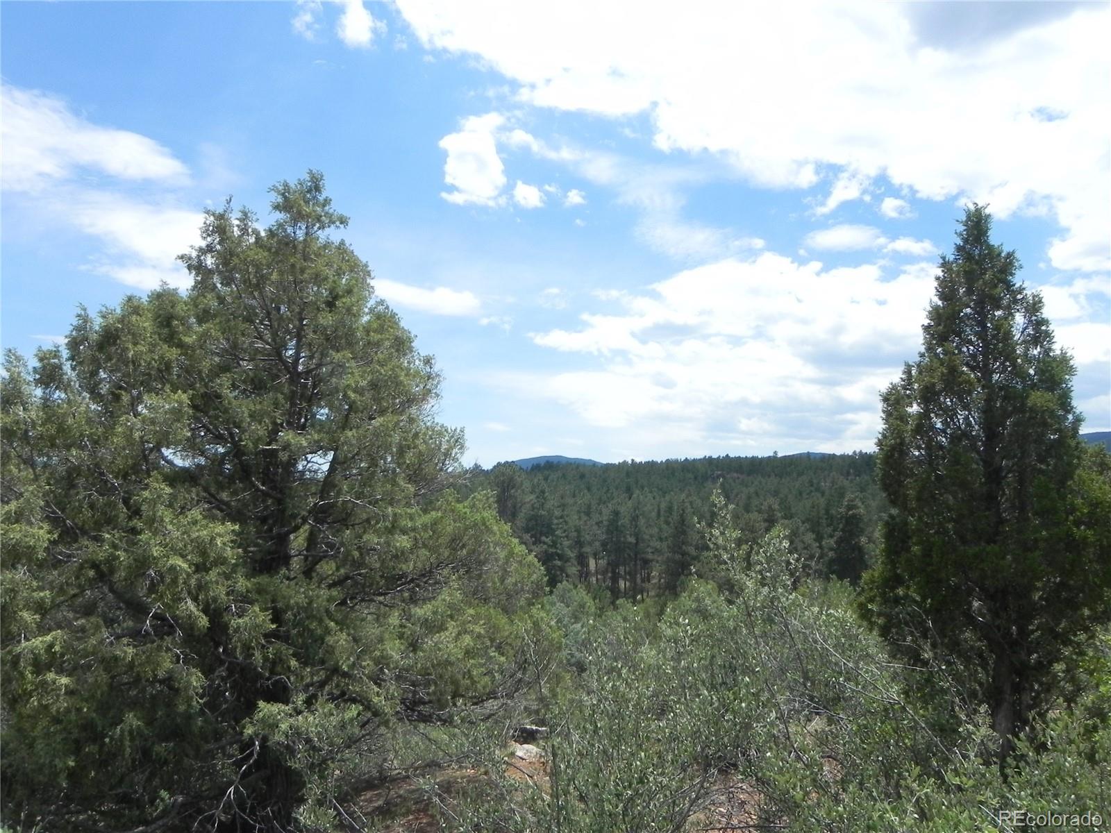 7749 Inca Road Larkspur CO 80118